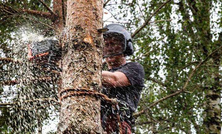 Trefelling utstyr